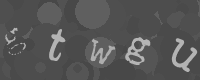 Bitte die Buchstaben des captcha Bildes im Eingabefeld eintippen