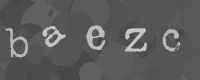 Bitte die Buchstaben des captcha Bildes im Eingabefeld eintippen
