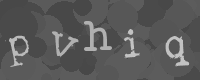 Bitte die Buchstaben des captcha Bildes im Eingabefeld eintippen