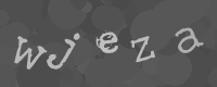Bitte die Buchstaben des captcha Bildes im Eingabefeld eintippen