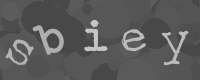 Bitte die Buchstaben des captcha Bildes im Eingabefeld eintippen